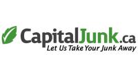Capital Junk image 1